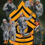 2009 – THE YEAR OF THE NONCOMMISSIONED OFFICER