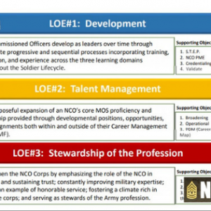 NCO 2020: Understanding the Lines of Effort — The NCO Guide