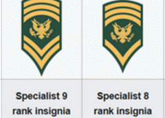 Reflections and Discussion about the US Army Specialist 8/9 Ranks