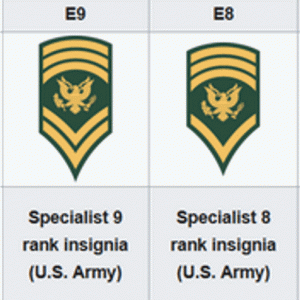 Reflections and Discussion about the US Army Specialist 8/9 Ranks